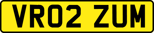 VR02ZUM