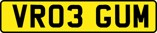 VR03GUM