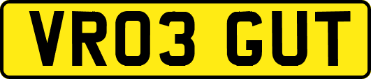 VR03GUT