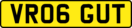 VR06GUT