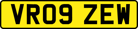 VR09ZEW