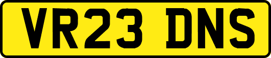 VR23DNS