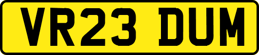 VR23DUM