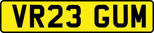 VR23GUM