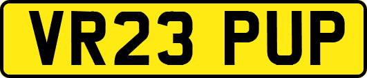 VR23PUP