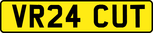 VR24CUT