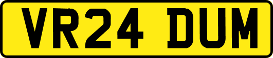 VR24DUM