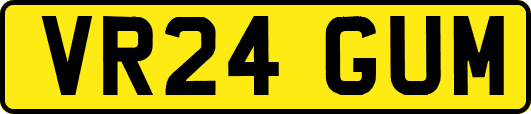 VR24GUM