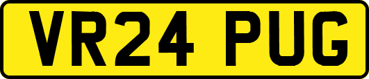 VR24PUG