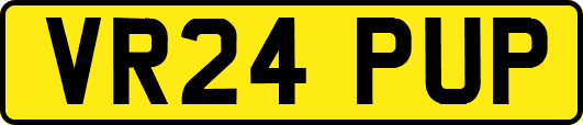 VR24PUP