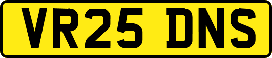 VR25DNS