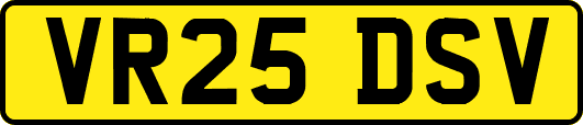 VR25DSV