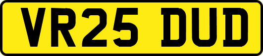 VR25DUD