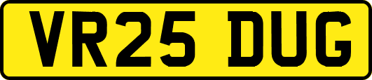 VR25DUG