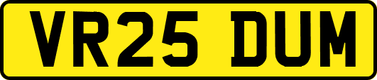 VR25DUM