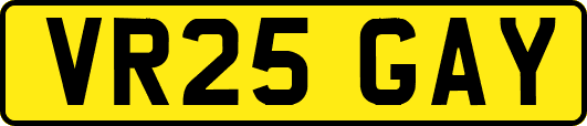 VR25GAY