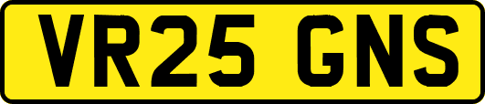 VR25GNS