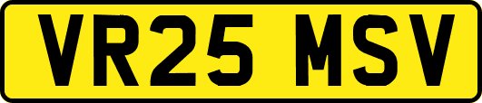 VR25MSV