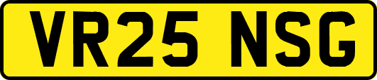 VR25NSG