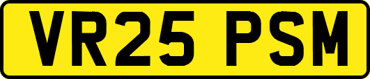 VR25PSM
