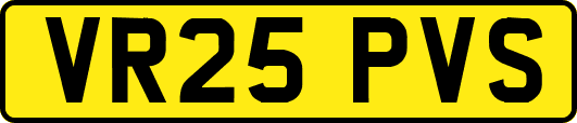 VR25PVS