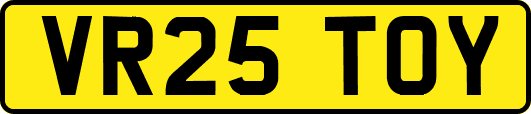 VR25TOY