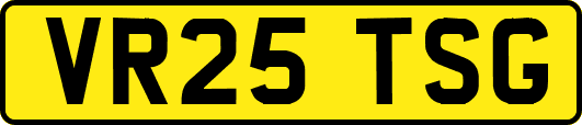 VR25TSG