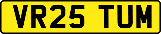VR25TUM