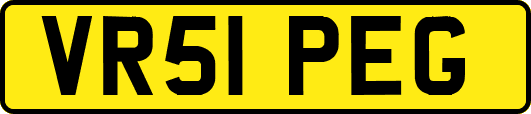 VR51PEG