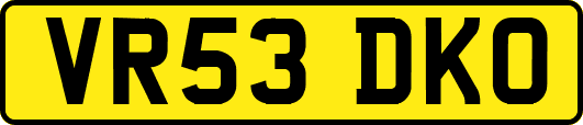 VR53DKO