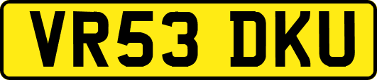 VR53DKU