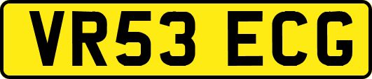 VR53ECG