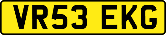 VR53EKG