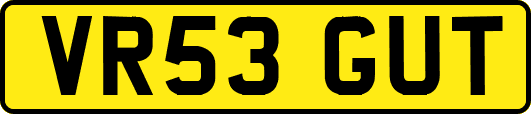 VR53GUT