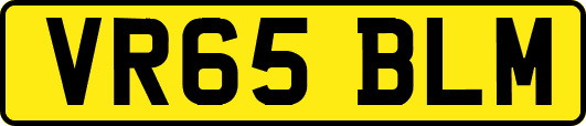 VR65BLM