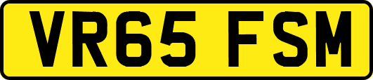 VR65FSM