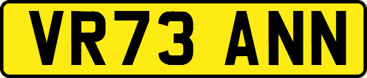 VR73ANN