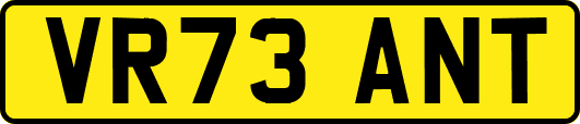 VR73ANT