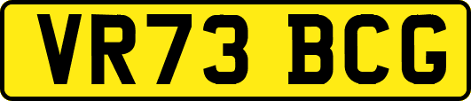VR73BCG