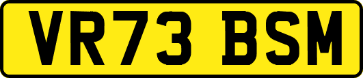 VR73BSM