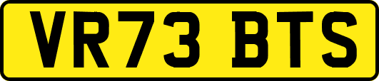 VR73BTS