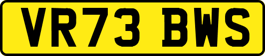 VR73BWS