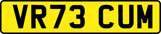 VR73CUM