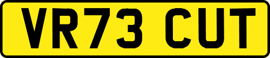 VR73CUT