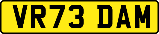 VR73DAM