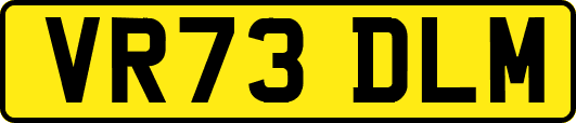 VR73DLM