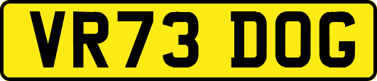 VR73DOG