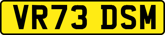 VR73DSM