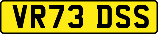 VR73DSS
