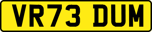 VR73DUM
